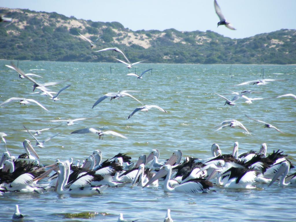 Coorong Waterfront Retreat Vila Meningie Exterior foto